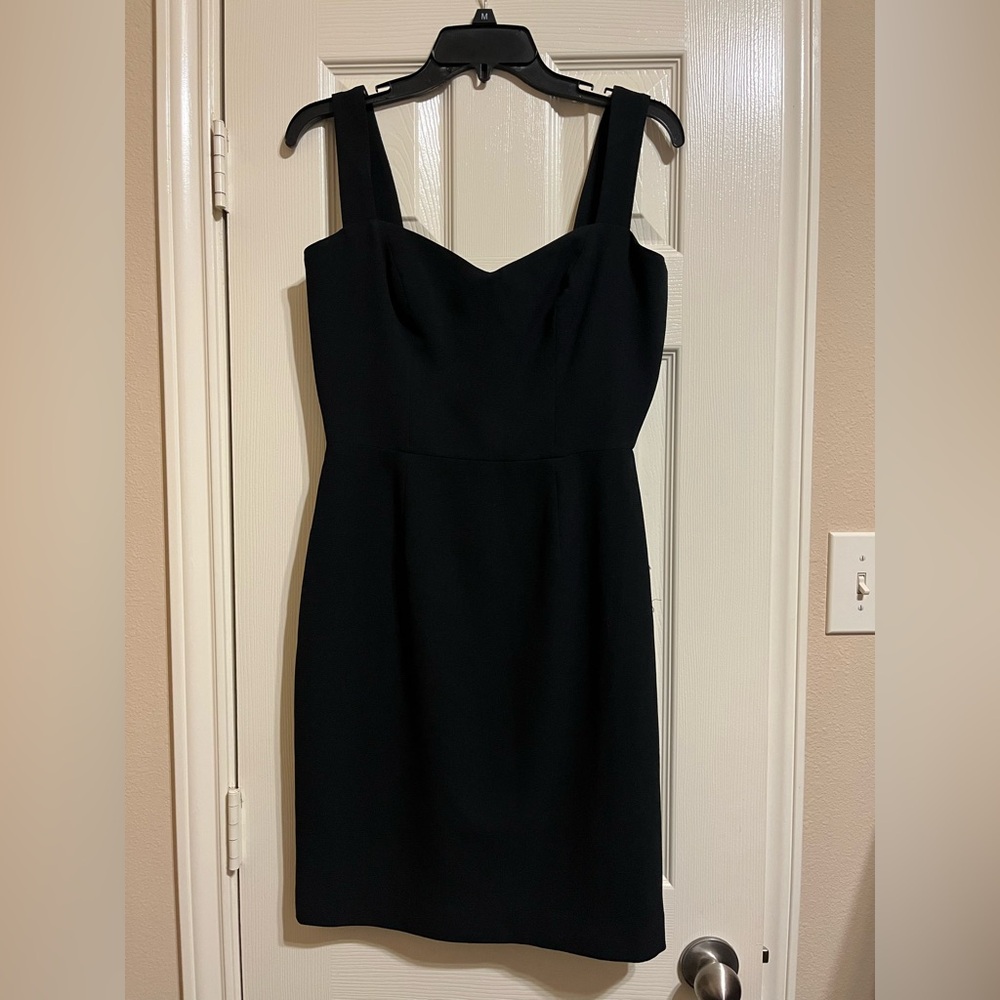 Dress the Population Nicole Sweetheart Dress
